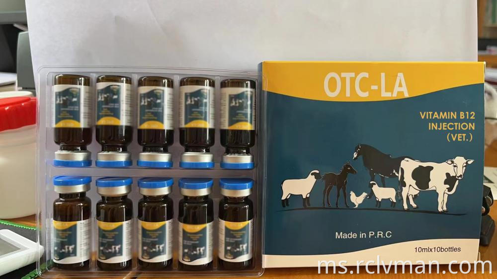 Suntikan vitamin B12 2 Vitamin B12 Injection 2